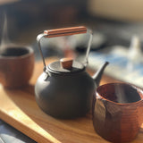 Japanese Stainless Steel Teapots - Medium