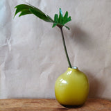 "Sacco" Vases - Apple