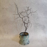 Cup #01 - "Sky & Earth" 2023