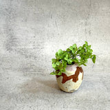 Bud Vase • Mar25