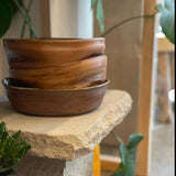 Pokè Bowls - Organic