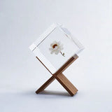 Sola Cube - Chamomile Sunray (Inner Beauty)