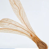 Sola Cube - Ant Tree (Catch The Flow)