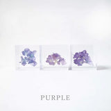 Sola Cube - Hydrangea