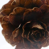 Sola Cube - Karamatsu (Unwavering Spirit)