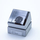 Sola Cube - Dawn Redwood (Reunion)