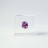 Sola Cube - Amethyst (Pure Elegance)