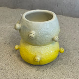 "Mandarin" Cup #14 - "Fantastic Garden" - June 2024