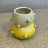 "Mandarin" Cup #14 - "Fantastic Garden" - June 2024