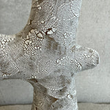 "Pisces in Crackle, Tall" - May 2024