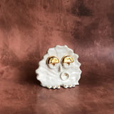 "Sally Sells Sea Shells" - "We're Golden" Series