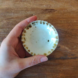 Miniature Dish #04 - October 2023