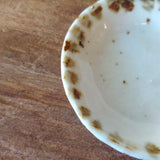 Miniature Dish #04 - October 2023