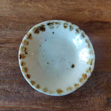 Miniature Dish #04 - October 2023