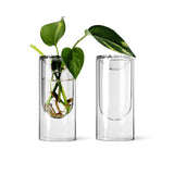 Milligram Studios - Propagation Vases - Clear Glass (set of 2)