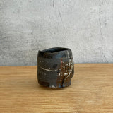 Saishiki Guinomi (Sake Cup)