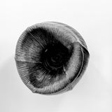"Combed" Vase - Faceted - Large • May25 • TH0301