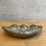 Incense Holders - Shell-Shaped • Dec24