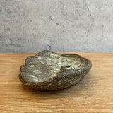 Incense Holders - Shell-Shaped • Dec24
