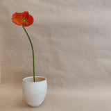 Spiral Cup #04 (Cream), 2023