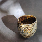 Spiral Cup #02, 2023
