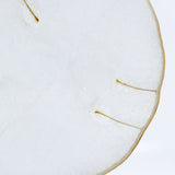 Sola Cube - Lunaria annua (Wishing Upon the Moon)