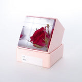 Sola Cube - Rose
