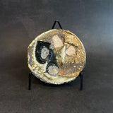 Shigaraki Plates - Elevated