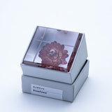 Sola Cube - Strawflower (Reliability)
