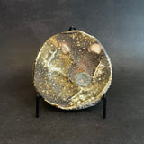 Shigaraki Plates - Elevated