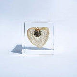 Sola Cube - Chinese Lantern (Illuminate Your Path)