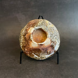 Shigaraki Plates - Elevated
