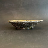 Shigaraki Plates - Elevated