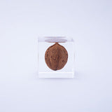 Sola Cube - Japanese Walnut (Harmony)