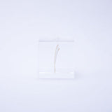 Sola Cube - Lunaria annua (Wishing Upon the Moon)