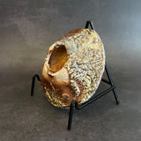Shigaraki Plates - Elevated