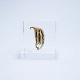 Sola Cube - Tiger's Claw (Spirited)