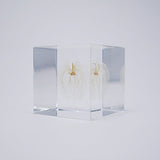 Sola Cube - Apple of Peru (Delicacy, Solid Core)