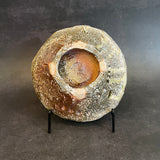 Shigaraki Plates - Elevated