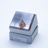 Sola Cube - Shell Ginger (Careless Caring)