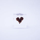 Sola Cube - Eucalyptus (Light My Fire)