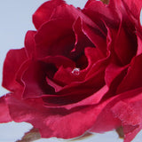 Sola Cube - Rose