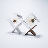 Sola Cube - Chinese Lantern (Illuminate Your Path)