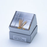 Sola Cube - Yellow Fennel Flower (Sweet Temptation)