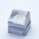 Sola Cube - Lunaria annua (Wishing Upon the Moon)
