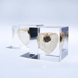 Sola Cube - Chinese Lantern (Illuminate Your Path)