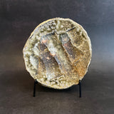Shigaraki Plates - Elevated