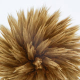 Sola Cube - Globe Thistle (Secret)