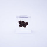 Sola Cube - Eucalyptus (Light My Fire)