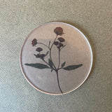 Japanese "Oshibana" Coaster Sets